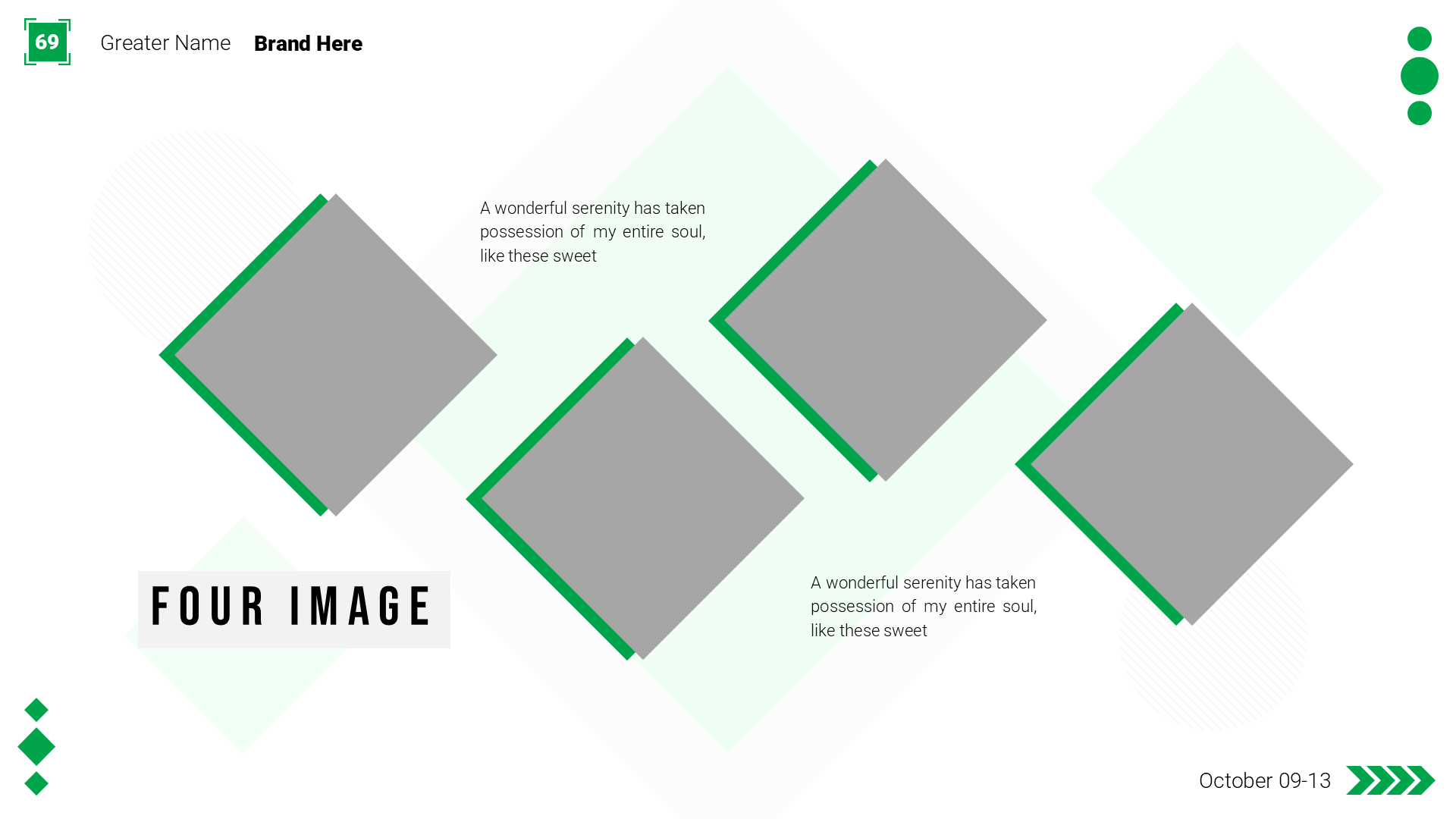 Professionality Green slide 5